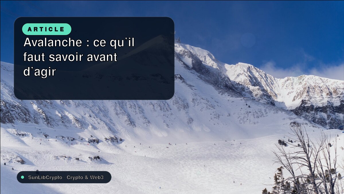 Avalanche : ce qu’il faut savoir avant d’agir