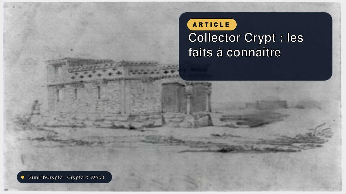 Collector Crypt : les faits à connaître