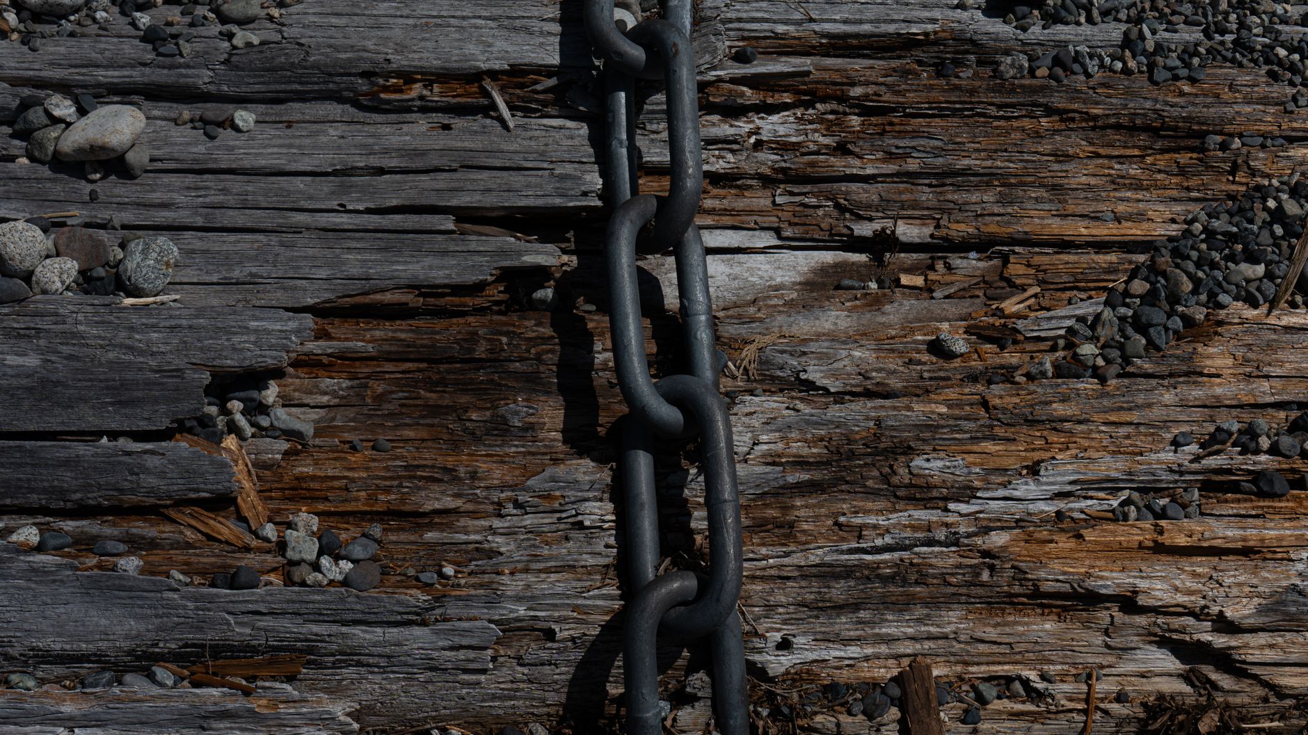 Nockchain
