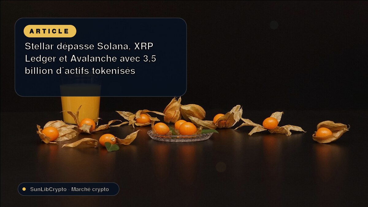 Stellar dépasse Solana, XRP Ledger et Avalanche avec 3,5 billion d’actifs tokenisés