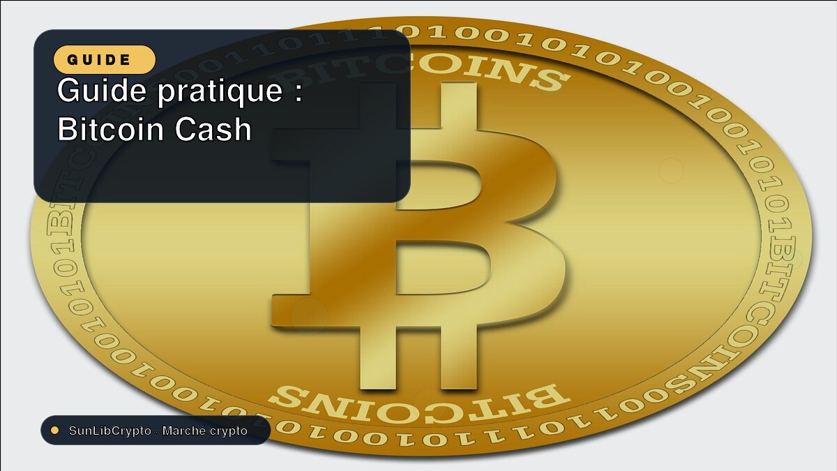 Guide pratique : Bitcoin Cash
