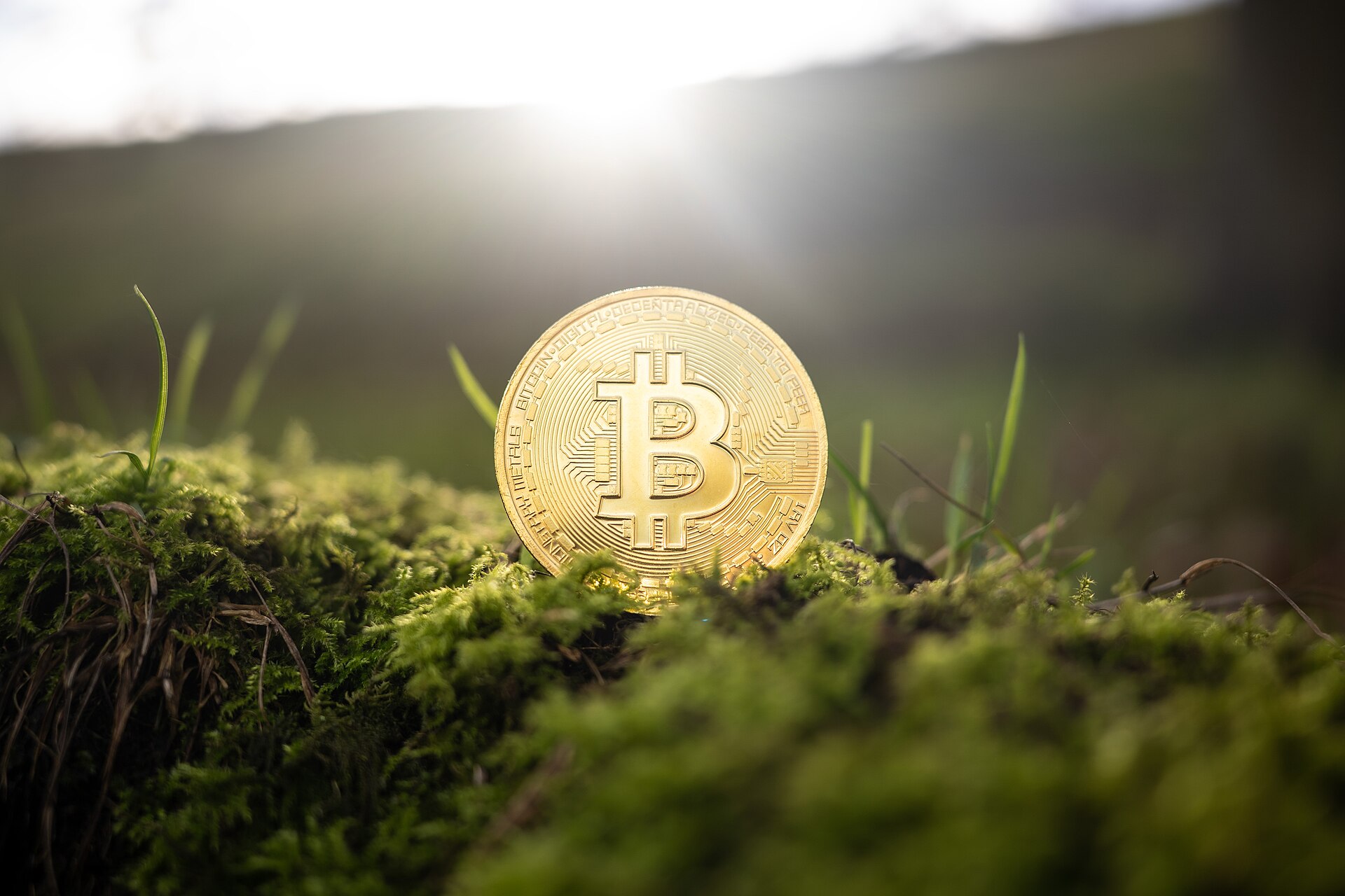 Peut-on payer ses achats du quotidien en cryptomonnaie ?