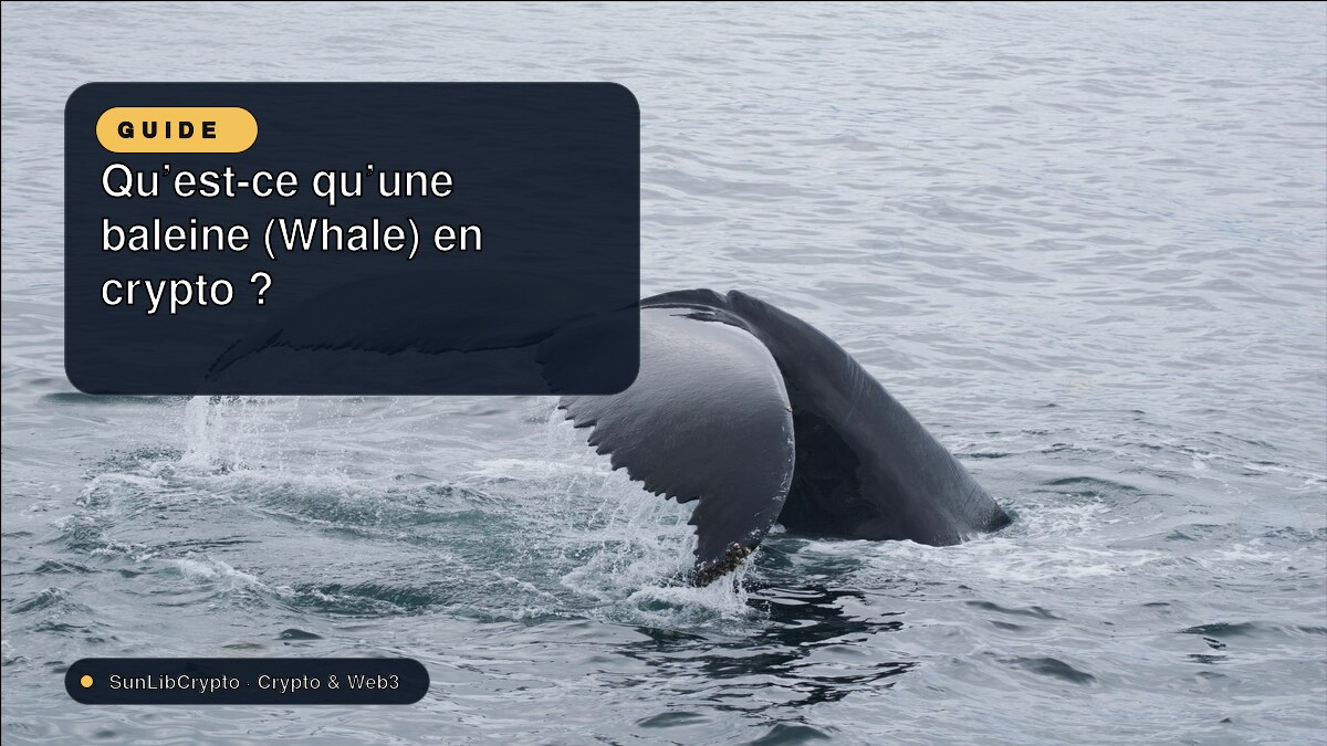 Qu'est-ce qu'une baleine (Whale) en crypto ?
