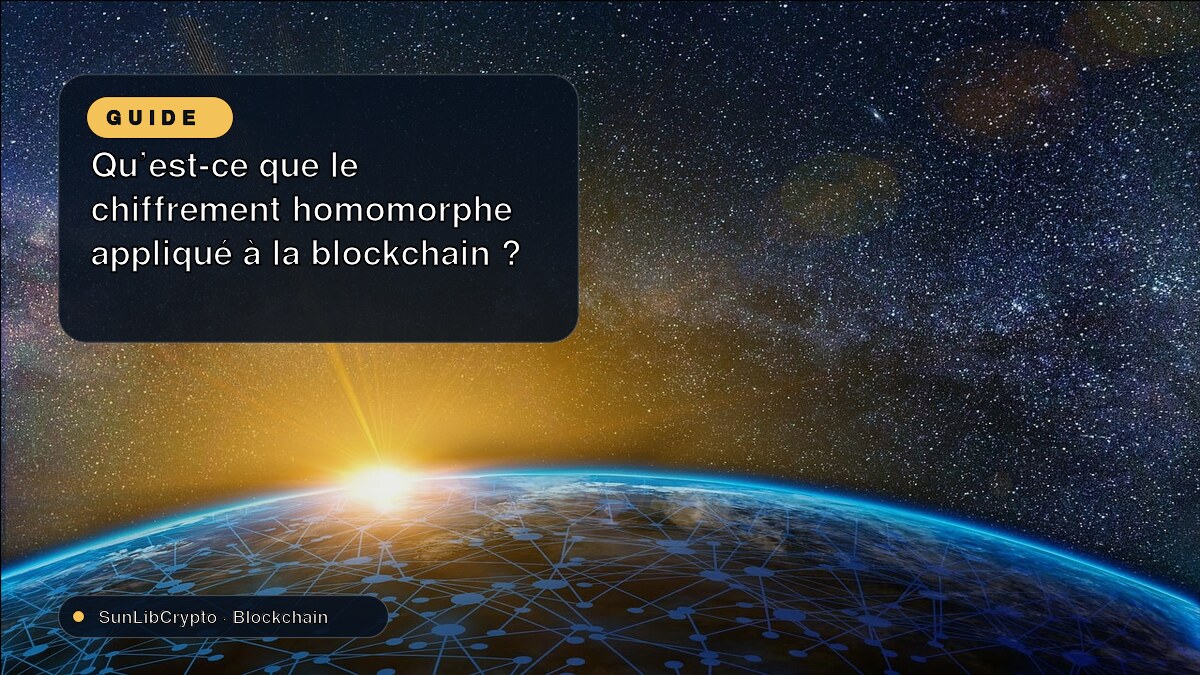 Qu'est-ce que le chiffrement homomorphe appliqué à la blockchain ?